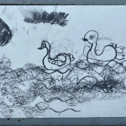schwäne.k.p